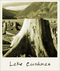 Lake Cushman, Washington