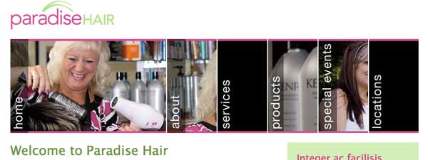 Photo of Paradise Hair's Website